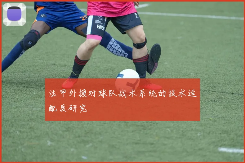法甲外援对球队战术系统的技术适配度研究