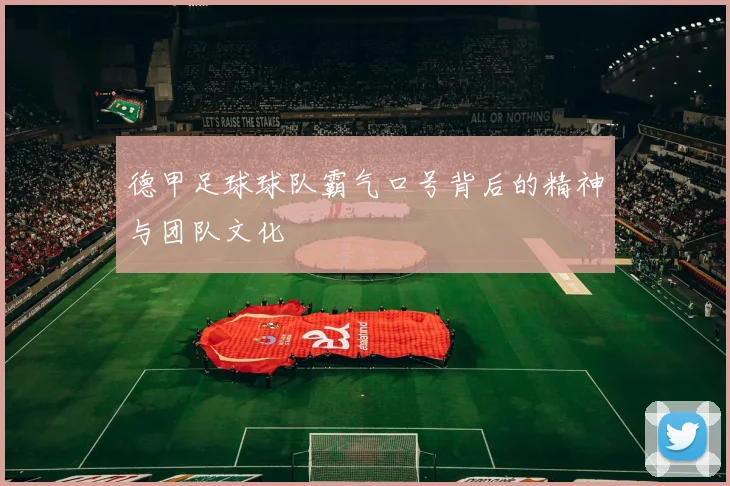 德甲足球球队霸气口号背后的精神与团队文化