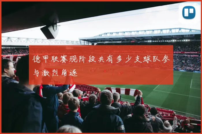 德甲联赛现阶段共有多少支球队参与激烈角逐