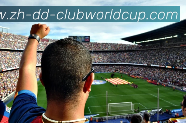 世界杯官网平台生态图